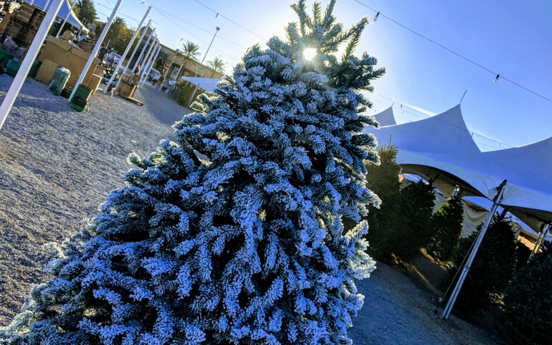 Where to Get Your Christmas Tree Flocked in Las Vegas and What to Expect