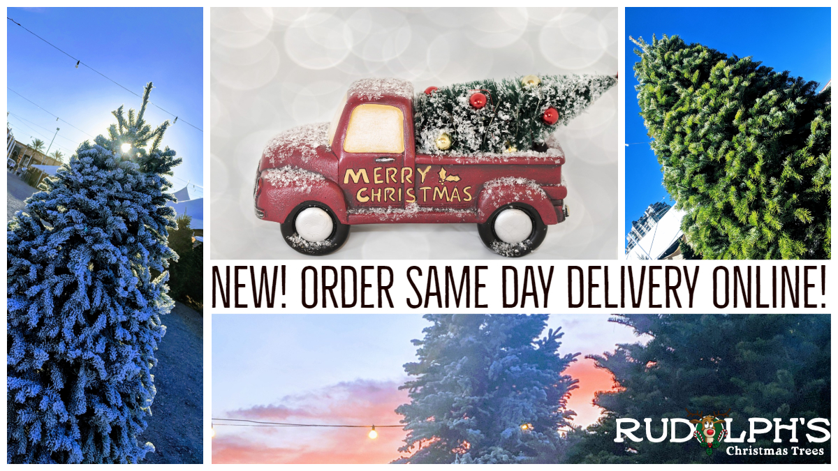 Home Rudolph's Christmas Trees Las Vegas, NV