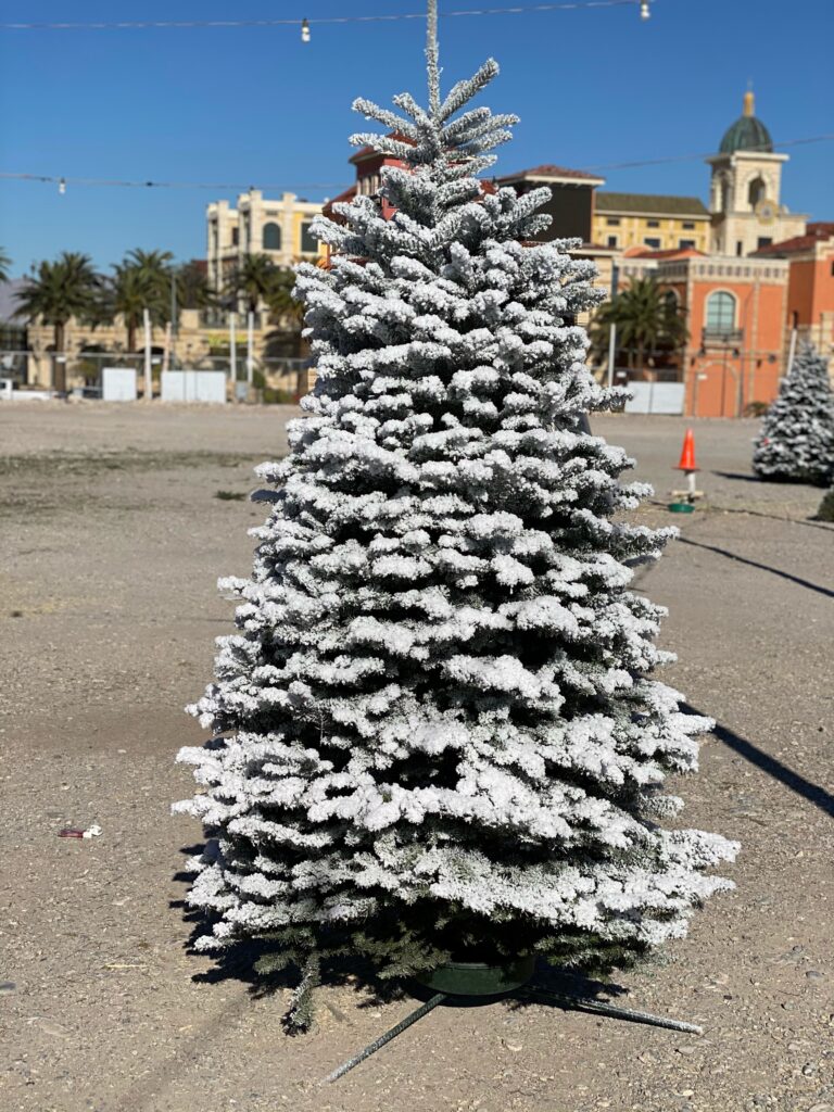 Photo Nov 25, 2 42 35 PM